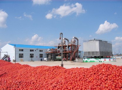 全球功能性飲料發(fā)展與新產品開發(fā)預測